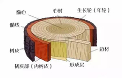 不懂点木头常识,怎么买红木家具