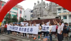 环保一刀切关停!企业忍无可忍,直接怼起来了!